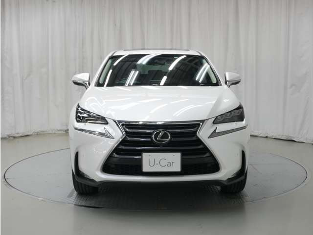 NX300 バージョンL 4WD