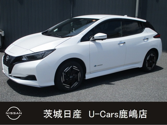 リーフe+ X