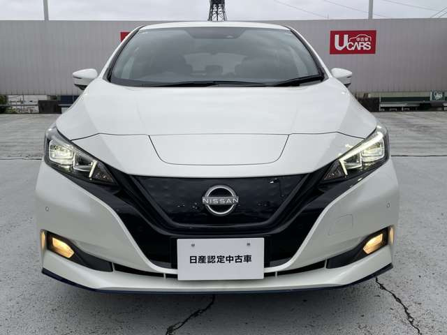 リーフe+ G