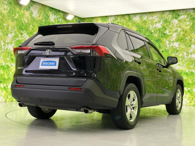 RAV42.0 X