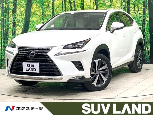 NX300h バージョンL