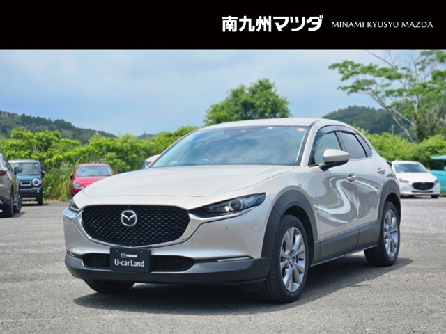 CX-302.0 20S プロアクティブ