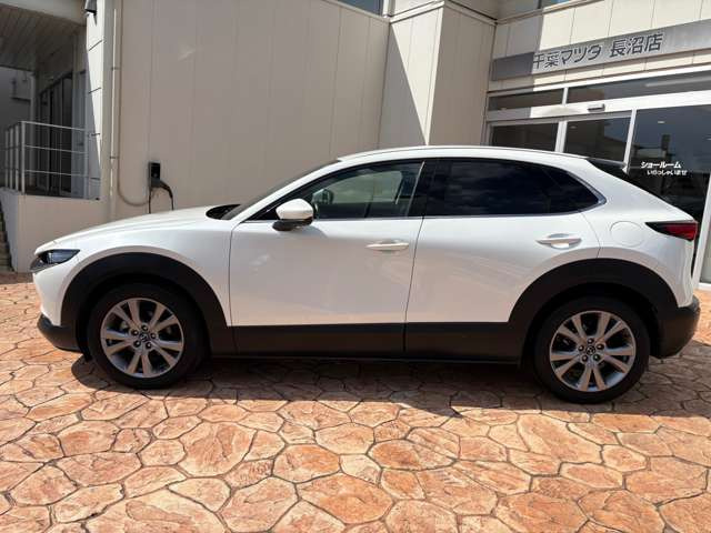 CX-302.0 20S プロアクティブ ツーリングセレクション