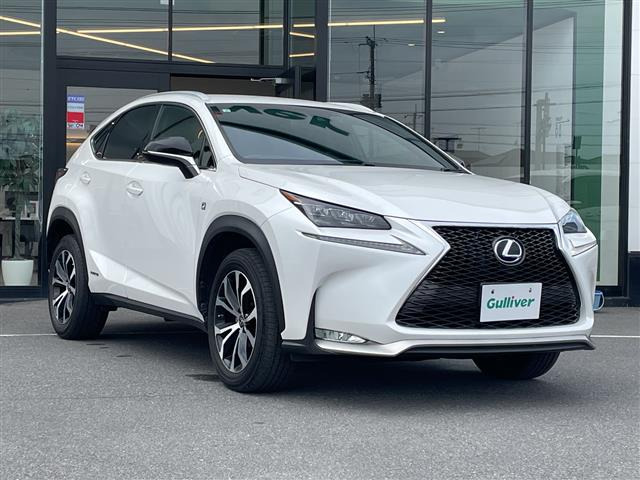 NX300h Fスポーツ