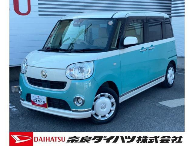 ムーヴキャンバスG メイクアップ SAIII