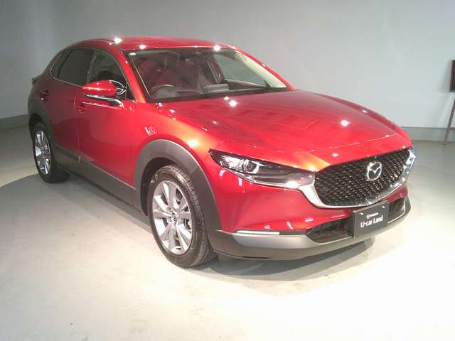 CX-302.0 20S プロアクティブ ツーリングセレクション