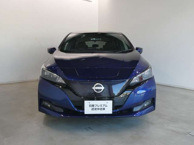リーフG