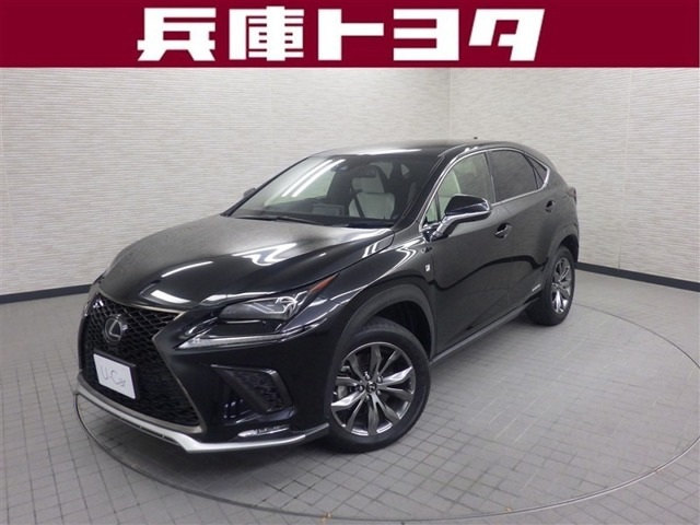 NX300h Fスポーツ