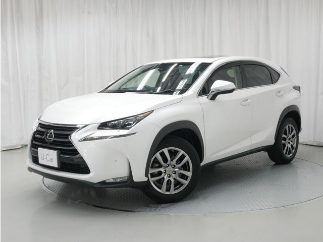 NX300 バージョンL 4WD