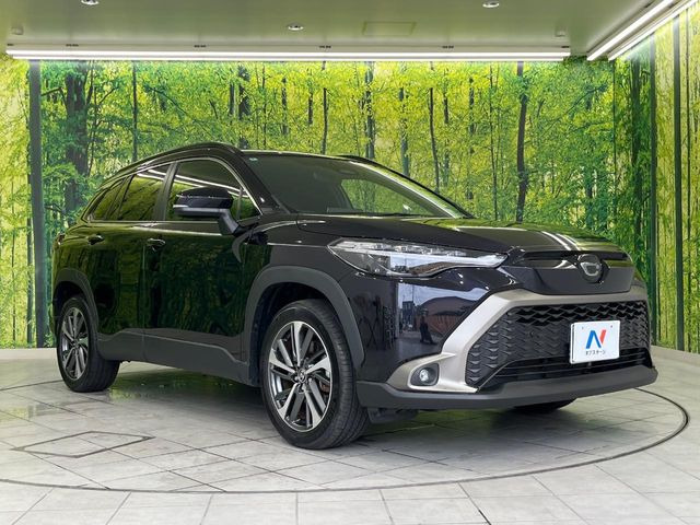 �������x�̃K���X�疌�ŝ����͂������A�㎿�ȃc���E����������B���O����_���J�����؂Ȉ��Ԃ�ی삵�A�F�����E�򉻂�h�~�B�u�e�X�v���b�V���R�[�g�v�A�u�e�v���~�b�T�R�[�g�v���炨�I�т��������܂��B