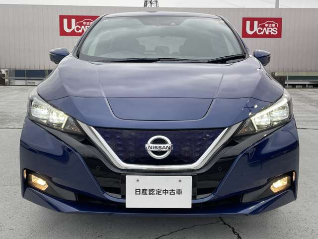 リーフG