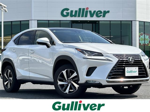 NX300 Iパッケージ 4WD