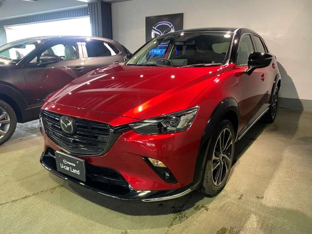 CX-31.8 XD ビビッド モノトーン