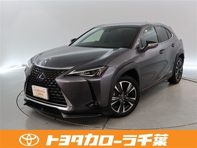 UX250h バージョンC