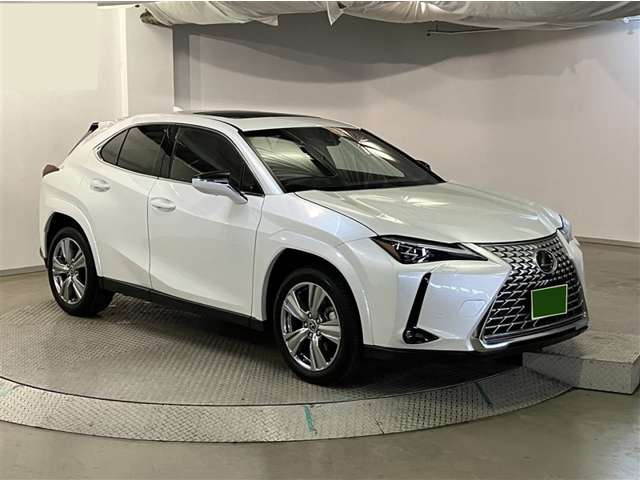 UX250h グレイスフル エクスプローラー