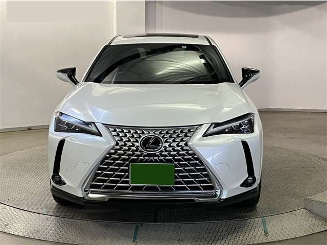 UX250h グレイスフル エクスプローラー