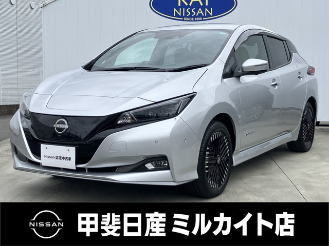 リーフe+ G