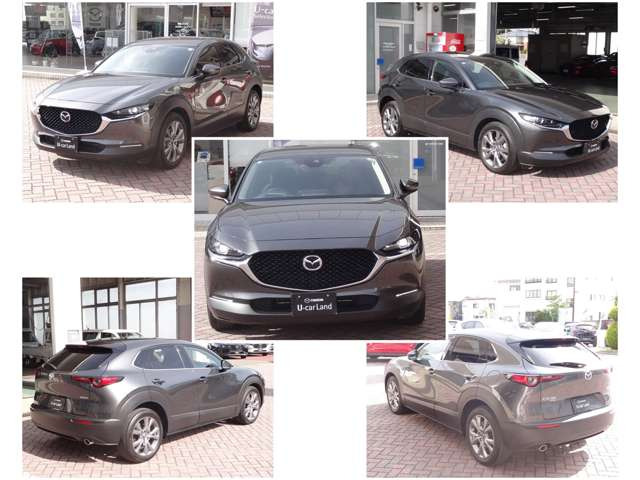 CX-301.8 XD プロアクティブ ツーリングセレクション 4WD