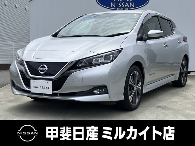 リーフG