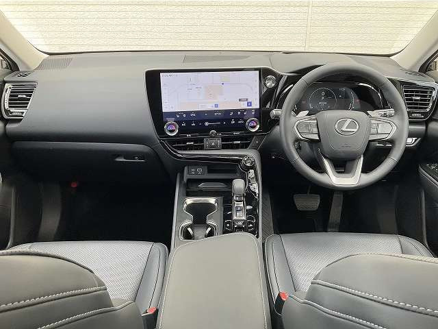 NX250 バージョンL