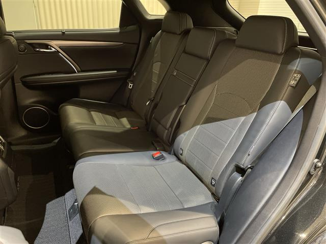 RX300 Fスポーツ