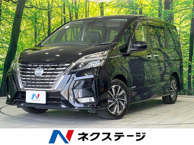 �Z���i(���Y) �n�C�E�F�C�X�^�[V ���Îԉ摜