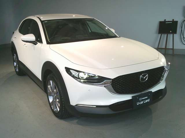 CX-302.0 20S プロアクティブ ツーリングセレクション