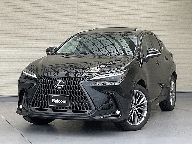 NX250 バージョンL