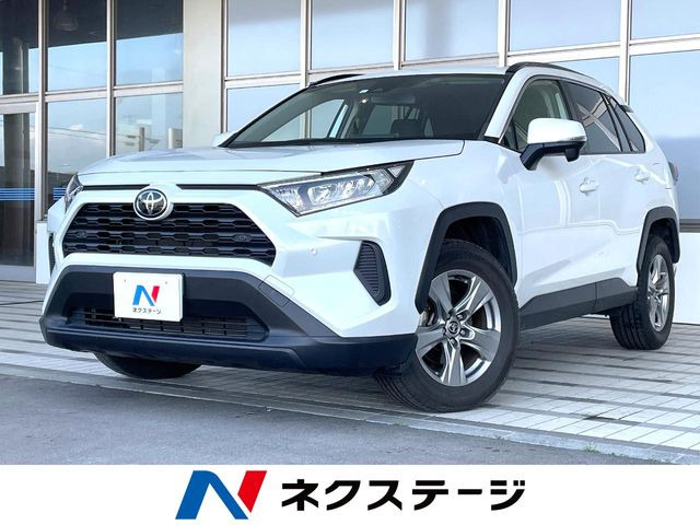 RAV42.0 X
