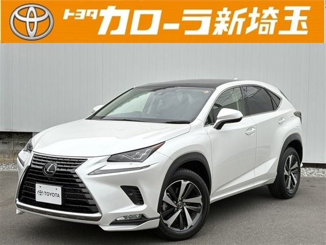 NX300 Iパッケージ