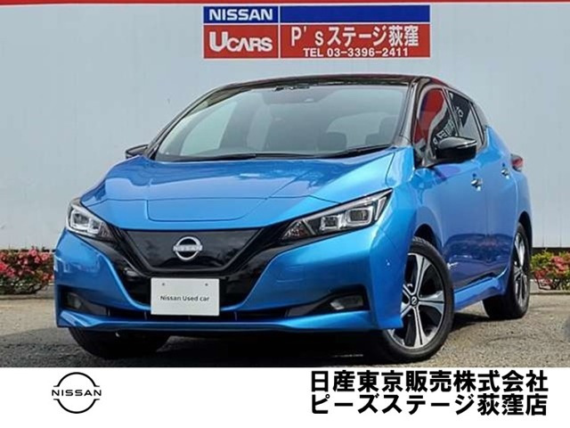 リーフG