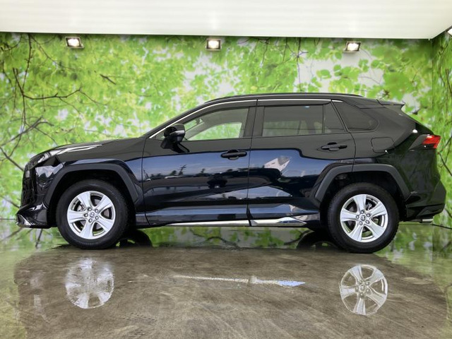 RAV42.0 X