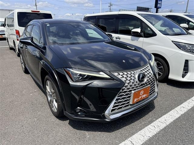 UX250h グレイスフル エクスプローラー