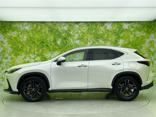 NX350h バージョンL