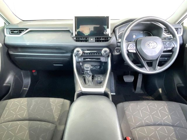 RAV42.0 X