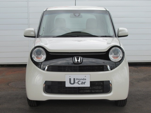 N-ONEG