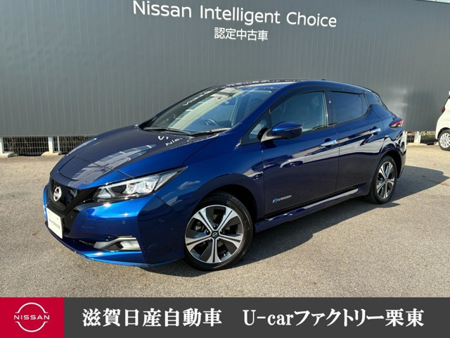 リーフe+ G