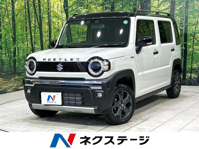 ハスラータフワイルド
