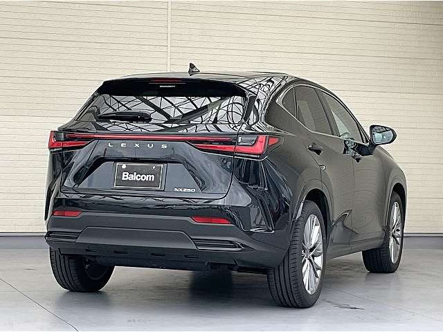 NX250 バージョンL