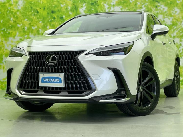 NX350h バージョンL