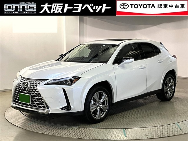 UX250h グレイスフル エクスプローラー