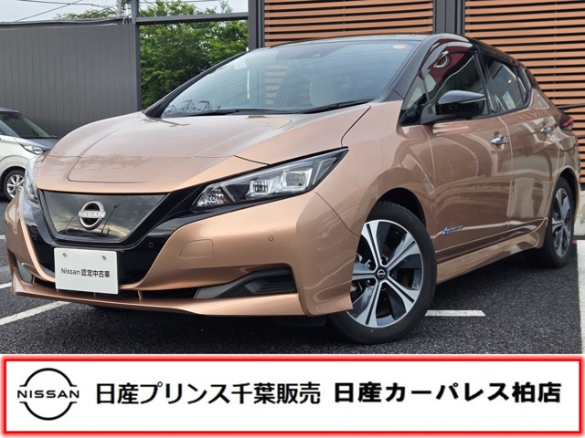 リーフ