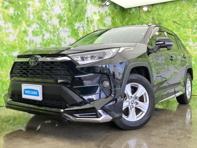 RAV42.0 X