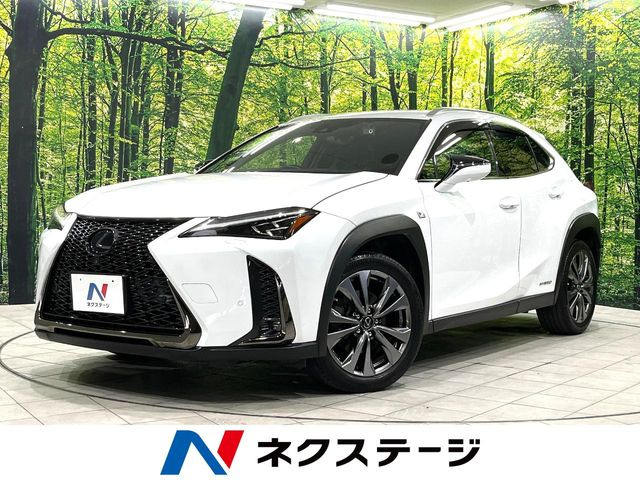 UX�i���N�T�X�j250h F�X�|�[�c ���Îԉ摜