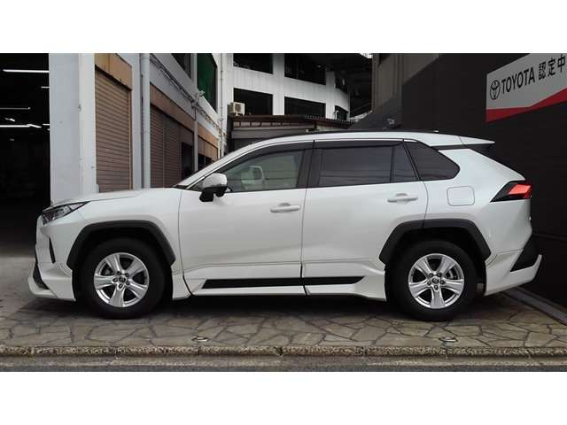 RAV42.0 X