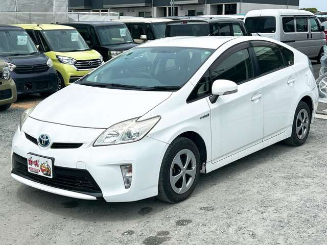 �y39.8���X�J�[�Y�̎��q���������������A���ɂ��肪�Ƃ��������܂��B���������S�s���c1186-7TEL:0942-73-6060�܂ł��⍇����������