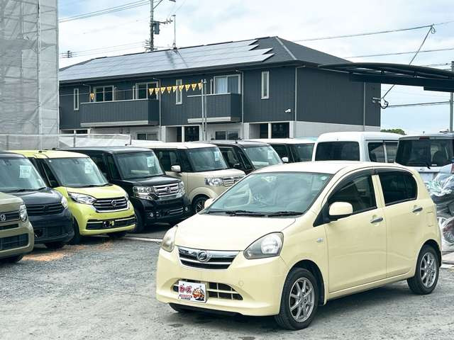 �y39.8���X�J�[�Y�̎��q���������������A���ɂ��肪�Ƃ��������܂��B���������S�s���c1186-7TEL:0942-73-6060�܂ł��⍇����������