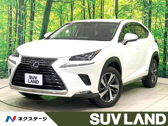 NX300h Iパッケージ