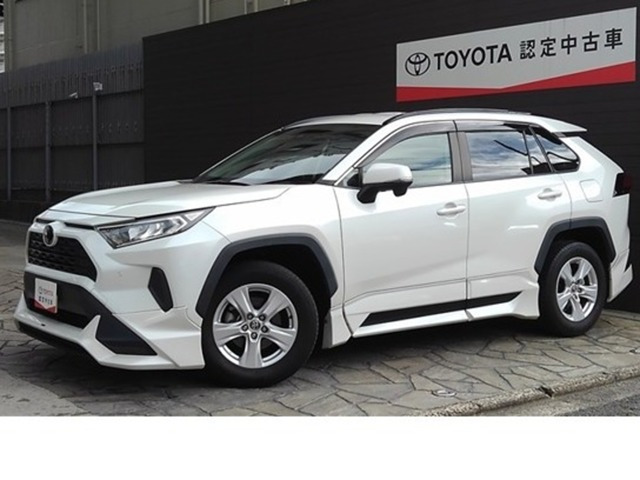 RAV42.0 X