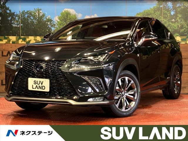 NX300h Fスポーツ